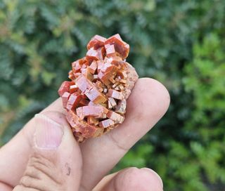 Vanadinite Minerali da Collezione