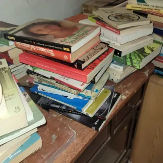 Lote 100 Libros Variados