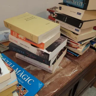 Lote 100 Libros Variados