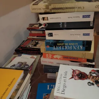 Lote 100 Libros Variados