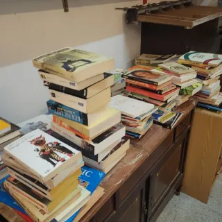 Lote 100 Libros Variados