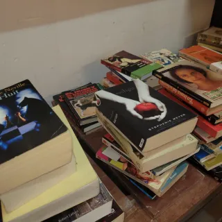 Lote 100 Libros Variados
