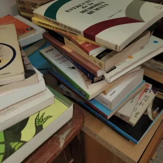 Lote 100 Libros Variados
