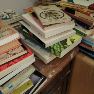 Lote 100 Libros Variados