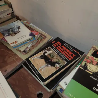 Lote 100 Libros Variados