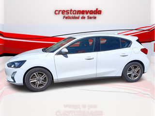 Focus - DESDE 230€ AL MES ¡SIN ENTRADA!