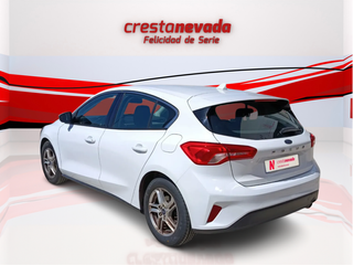 Focus - DESDE 230€ AL MES ¡SIN ENTRADA!