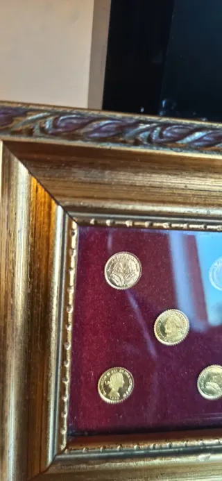 Monete d'oro 8 carati in cornice