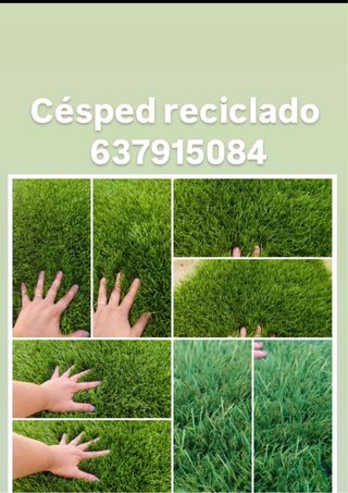 Césped reciclado - 637915084