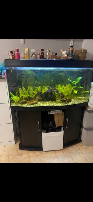 Acuario curvado 350l con 2 filtros y mueble