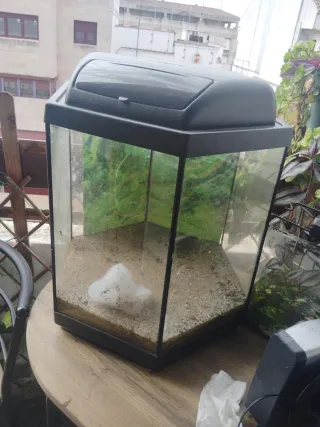 Acuario hexagonal 60L