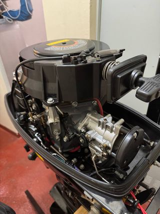 Suzuki DT30 2 Tiempos Motor Fueraborda