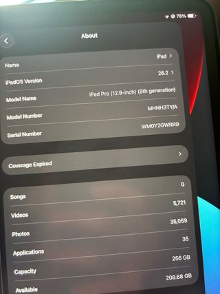 iPad Pro 12.9 5ª Gen (Nov 2021) 256GB