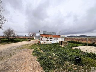Solar en venta en Consuegra
