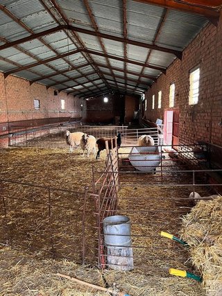 Solar en venta en Consuegra