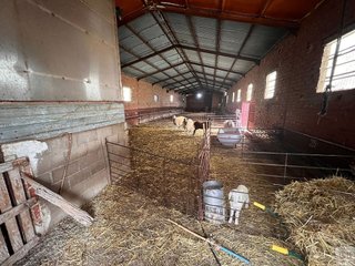 Solar en venta en Consuegra