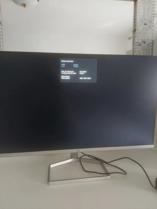 Monitor HP Negro y Plateado