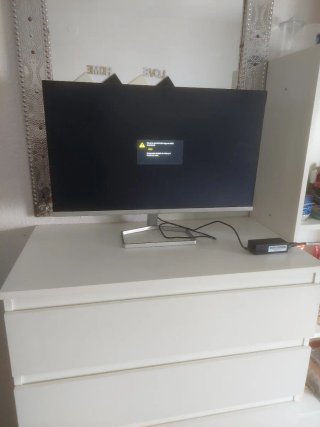 Monitor HP Negro y Plateado