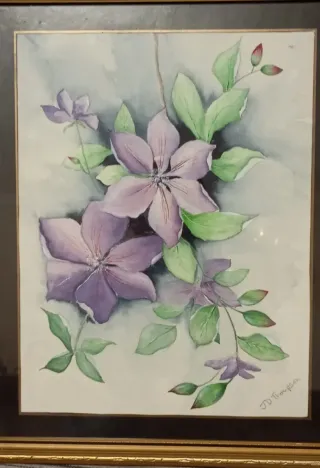 Acuarela Flores Clemátide JD Thompson