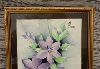 Acuarela Flores Clemátide JD Thompson