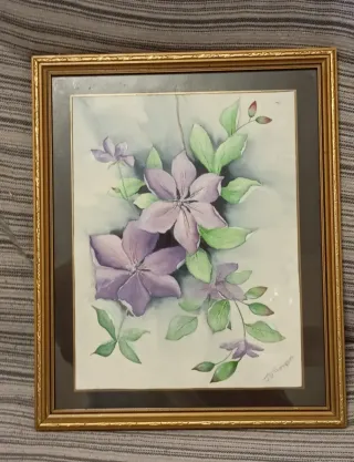 Acuarela Flores Clemátide JD Thompson