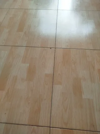 Pladur..limpiezas.. pintura