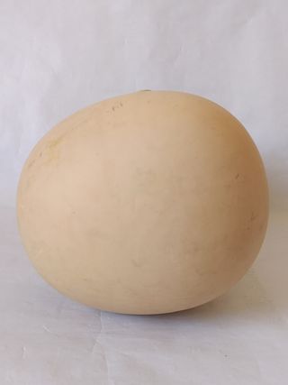 Cabeza de maniquí de plástico beige