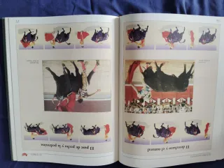 Enciclopedia 6 tomos EL COSSÍO Los Toros de Espasa