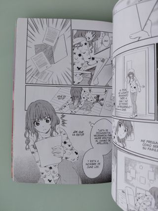 Lote Manga