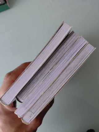 Lote Manga