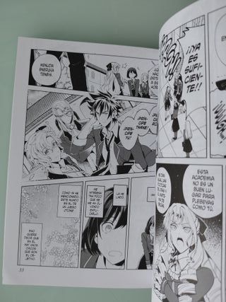 Lote Manga