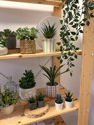 Lampara FADO ikea y plantas decorativas