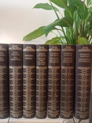 Grandes Clásicos Universales año 1978