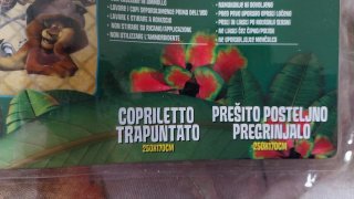 Trapunta Madagascar letto singolo