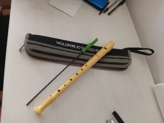 Flauta Hohner con funda