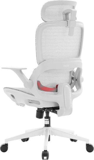 Sillón Ergonómico Shioo B100Lite