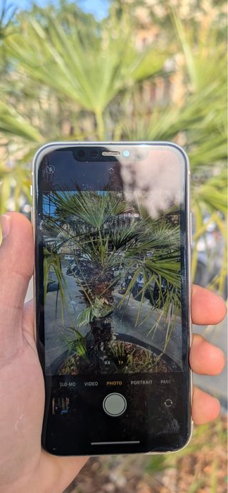 iPhone 11 128GB Blanco