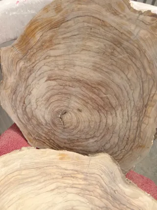 Taglieri rotondi legno d'ulivo