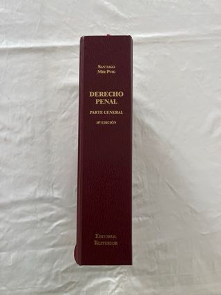 Derecho Penal Santiago Mir Puig Parte General 10ª