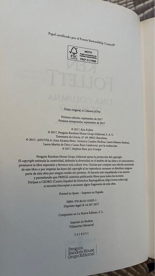 Una columna de fuego (Saga Los pilares de la Ti...