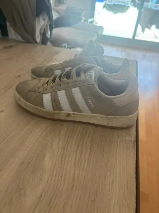Adidas Campus Beige y Blanco