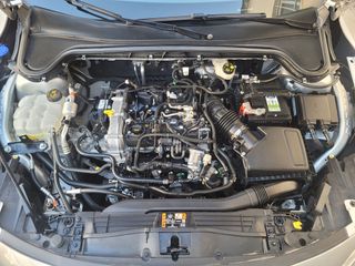 Ford Focus 1.0 MHEV. STLINE