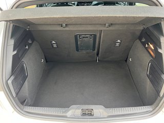 Ford Focus 1.0 MHEV. STLINE