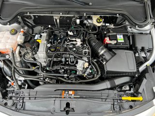 Ford Focus 1.0 MHEV. STLINE