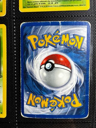 Carte Pokémon Set Jungle Ita