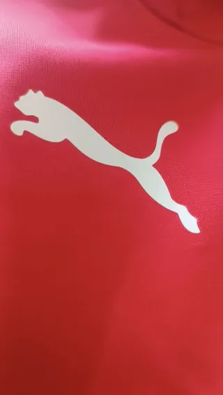 Sudadera Puma teamGOAL Roja