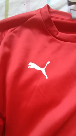 Sudadera Puma teamGOAL Roja