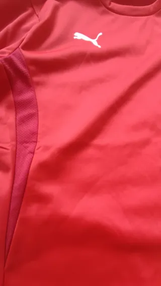 Sudadera Puma teamGOAL Roja