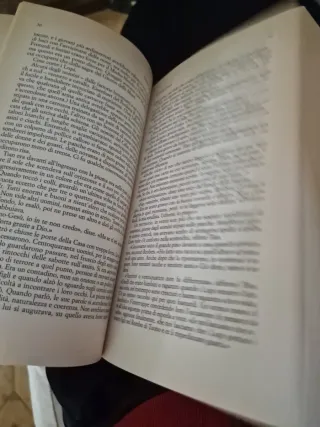 Stephen King I lupi del calla