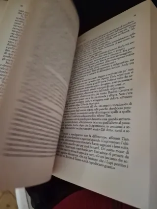 Stephen King I lupi del calla